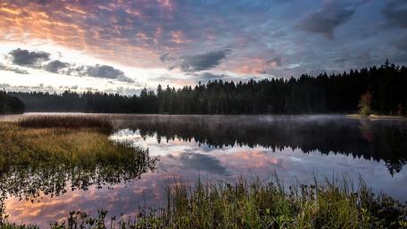 Tranquil Morning Reflection on a Serene Lake wallpaper