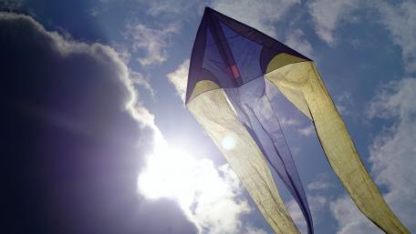 Kite in flight wallpaper