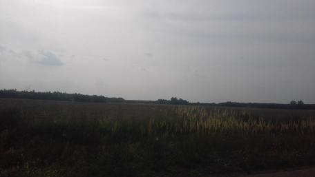 Serene Fields Under a Soft Gray Sky wallpaper