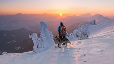 Standing at the top wallpaper