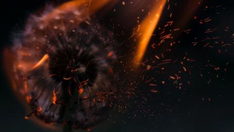 Burning dandelion flower wallpaper