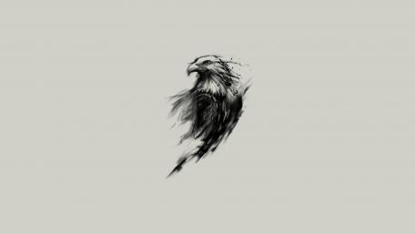 Eagle sketch wallpaper