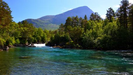 Serene Mountain River in Lush Wilderness wallpaper
