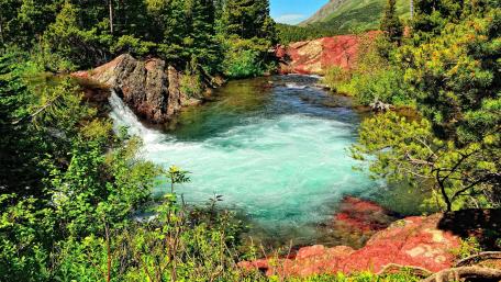 Summer nature wallpaper