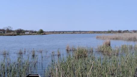 Serene Lakeside Marsh Landscape in 4K High Definition wallpaper