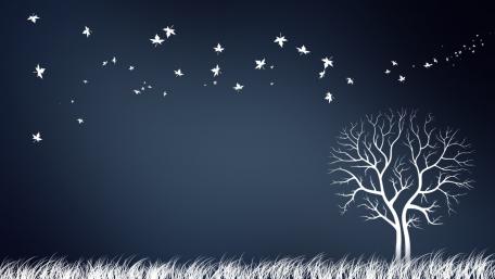 A Solitary Tree in the Night wallpaper