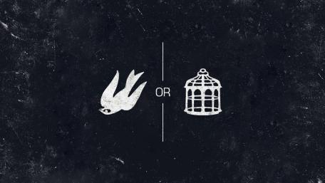 Freedom or captivity wallpaper
