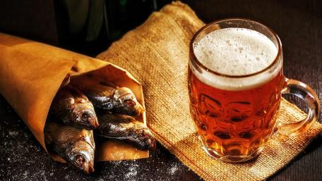 Fish and beer wallpaper