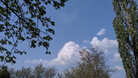 Tranquil Blue Sky with Lush Greenery wallpaper