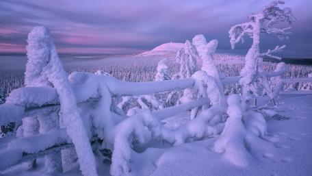 Lapland wallpaper