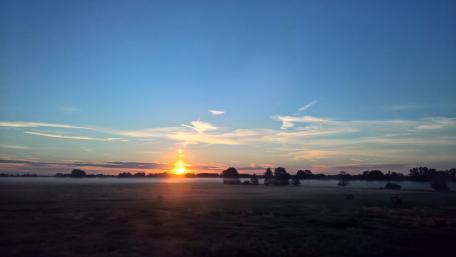 Sunrise in the fog wallpaper