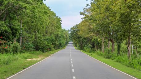 Road to Thanamalvila, Sri Lanka wallpaper