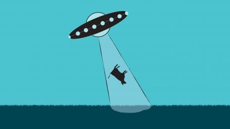 Cattle alien abduction wallpaper