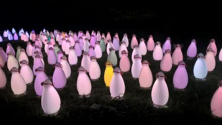 Penguins of light art wallpaper