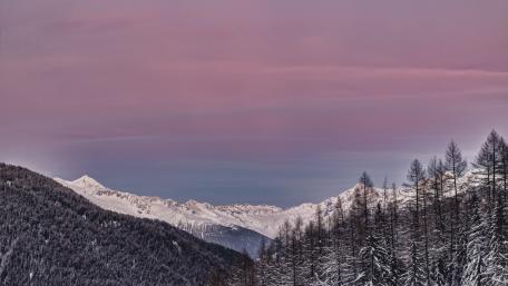 Winter Serenity in Pink Skies wallpaper