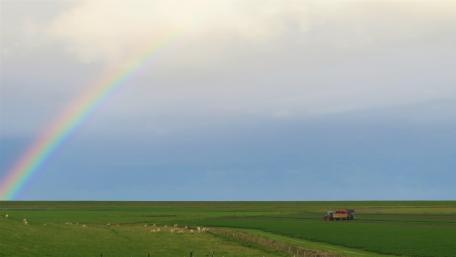 Rainbow wallpaper