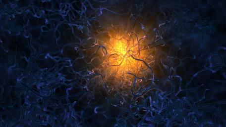 Neuron sturcture wallpaper