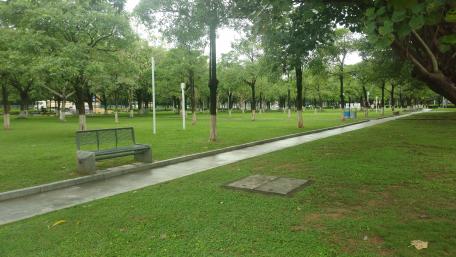 Green park wallpaper