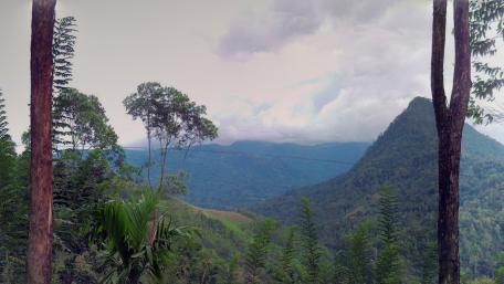 Mountains in Sri Lanka wallpaper