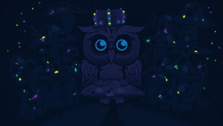 Owl on a mushroom wallpaper