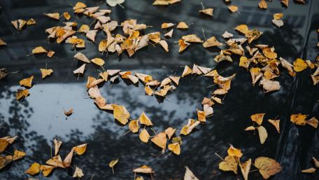 Leaf heart on windscreen wallpaper