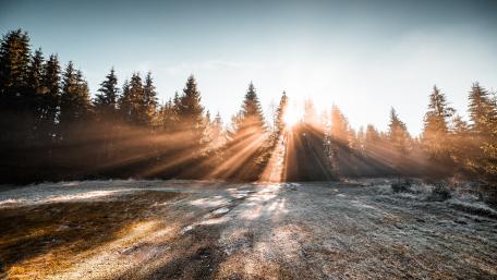 Frozen winter morning sunlight wallpaper
