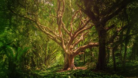 Green forest with painting filter wallpaper