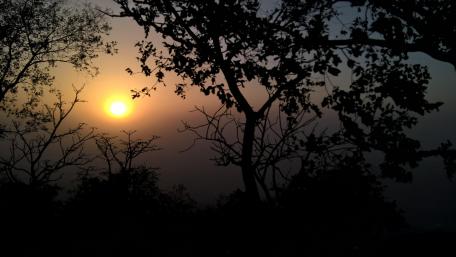 Evening View wallpaper