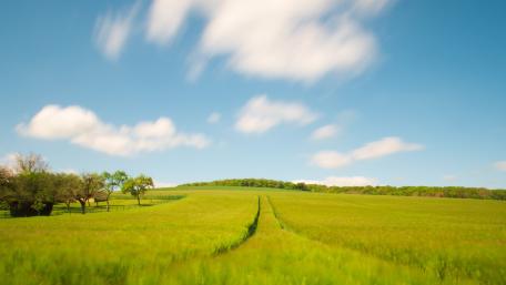 Vibrant Green Prairie in Daylight Light Movement Affecting Scenery wallpaper