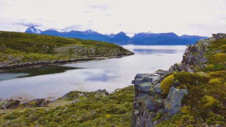 Canal Beagle wallpaper