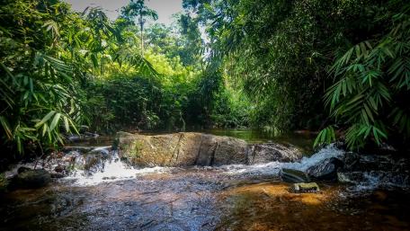 Fresh water streams in sri lanka wallpaper