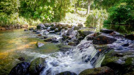 Fresh water streams in sri lanka wallpaper