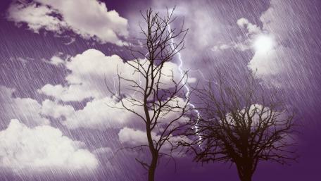 Through the storm wallpaper