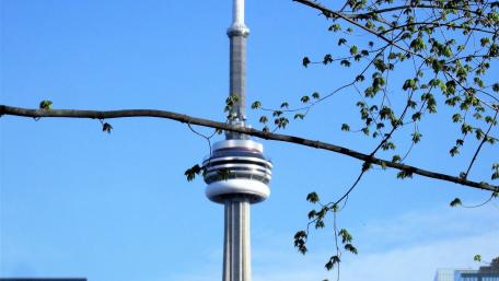 Cn tower wallpaper