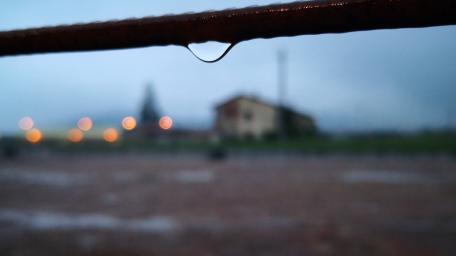 Captivating Moment of Rain’s Graceful Drop wallpaper