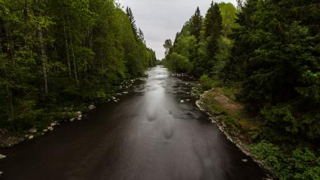 River wallpaper