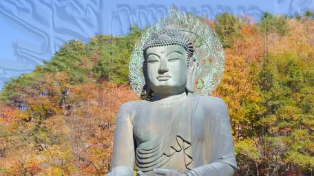 Majestic Buddha Statue Amidst Nature's Serenity wallpaper