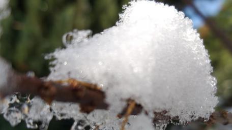 Winter's Embrace in Crystal Clarity wallpaper