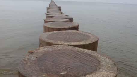 Serene Coastal Pathway to Tranquility wallpaper