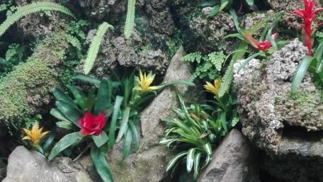 Vibrant Blossoms Amongst Nature's Stones wallpaper