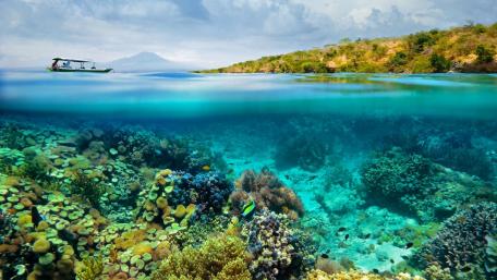 Serene Underwater Paradise Inviting Adventure and Exploration wallpaper