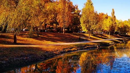 Autumn colors wallpaper