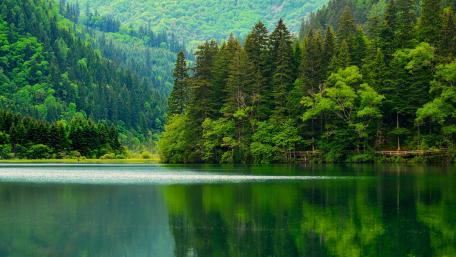 Tranquil Lake Amidst Verdant Peaks wallpaper