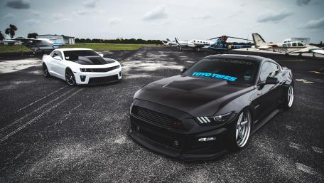 Black Beauty on the Tarmac wallpaper