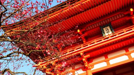 Kiyomizu-dera Temple wallpaper