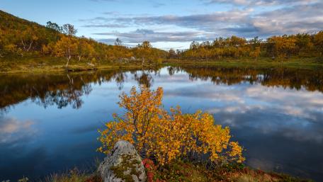 Autumn scenery reflection wallpaper