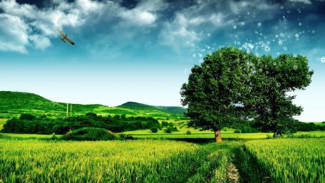 Fresh spring air wallpaper
