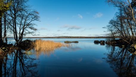 Monrepos Park (Vyborg, Russia) wallpaper