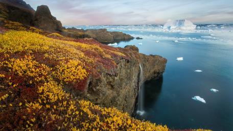 Icy Cliffs and Vibrant Wildflowers in a Coastal Landscape wallpaper