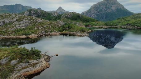 Pieceful Nature wallpaper